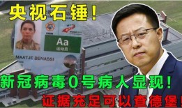 惊天爆料新冠病毒视频,新冠病毒视频揭露真相，震惊全球